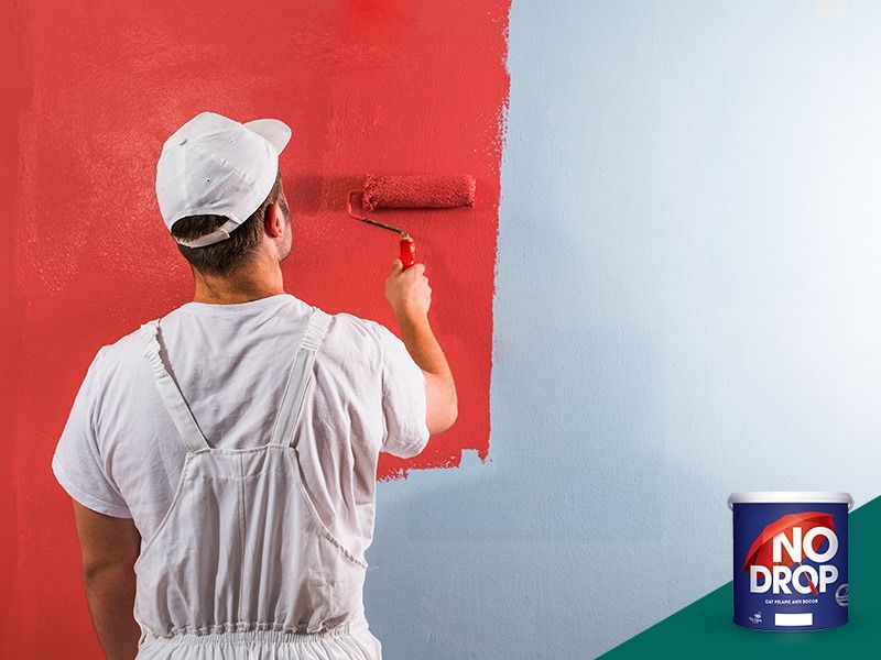 cat tembok no drop merk avian