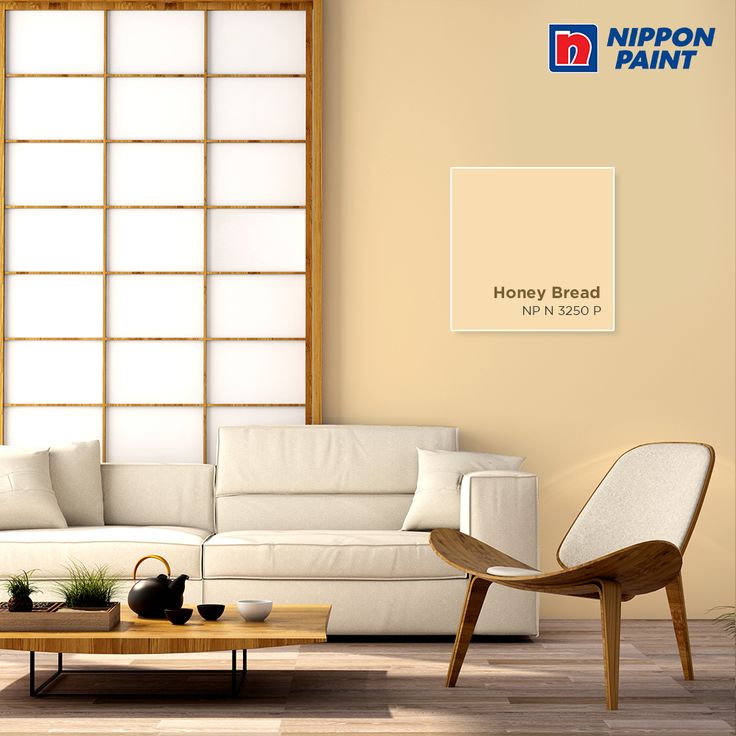 cat tembok nippon paint