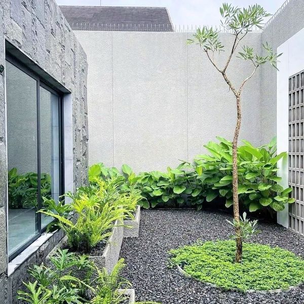 taman teras rumah